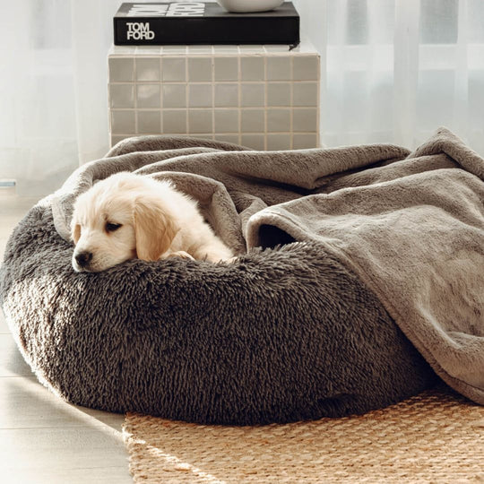 Bouclé Dog Bed & Weighted Blanket Bundle