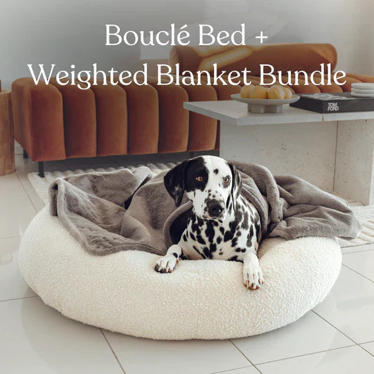 Bouclé Dog Bed & Weighted Blanket Bundle