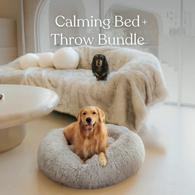 Calming Dog Bed & Throw Bundle