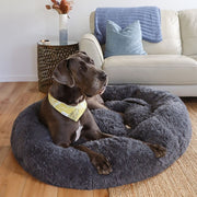 Calming Dog Bed & Cover Bundle