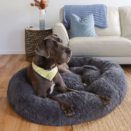 Calming Dog Bed Bundle