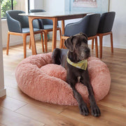 Calming Dog Bed Bundle