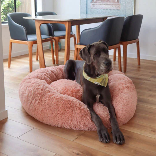 Calming Dog Bed & Cover Bundle