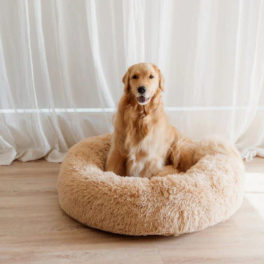 Calming Dog Bed & Weighted Blanket Bundle