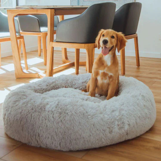 Calming Dog Bed Bundle