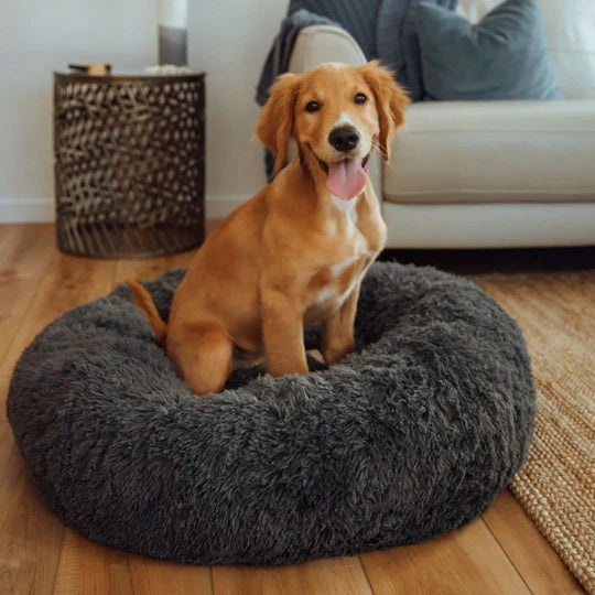 Calming Dog Bed & Throw Bundle