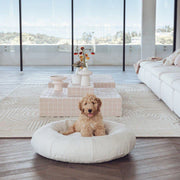 Bouclé Dog Bed & Weighted Blanket Bundle