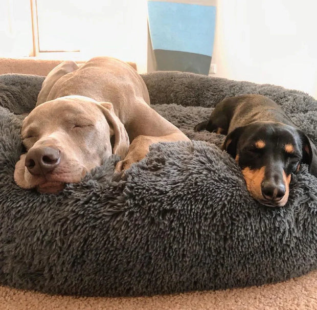 Calming Deep Sleep Pet Bed