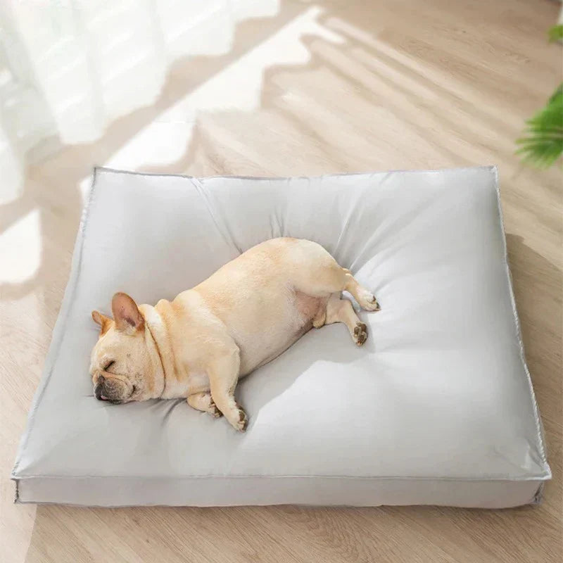 Calming Dog Cushion – Comfort for Every Dog