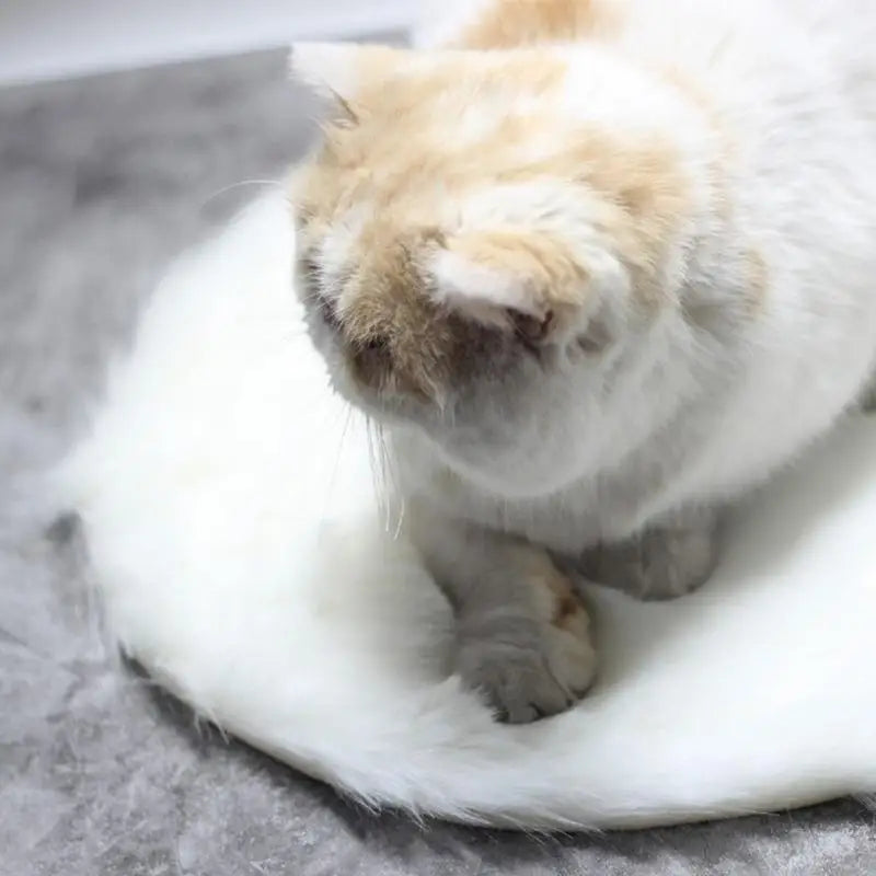 Heated Cat Cushion – Warmth and Comfort for Your Cat