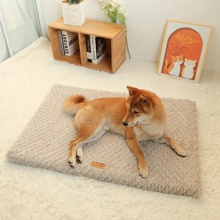 Washable Dog Cushion Cover – Comfort and Style for Your Pet