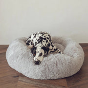 Calming Dog Bed & Cover Bundle